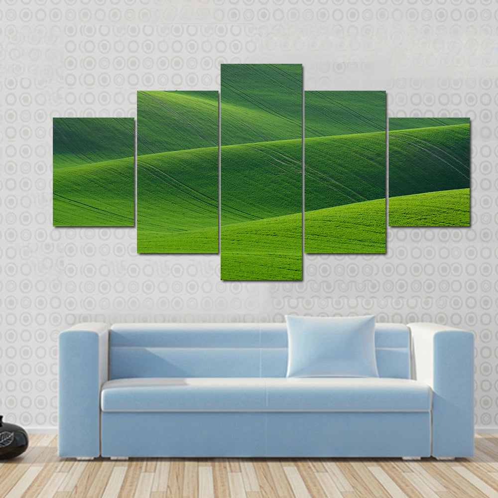 Rolling Green Hills in South Moravia Canvas Wall Art