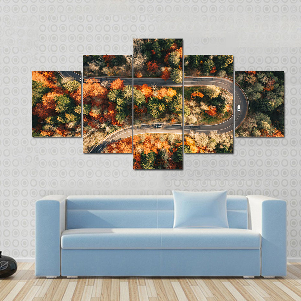 Winding Mountain Road Through Forest In Autumn Canvas Wall Art