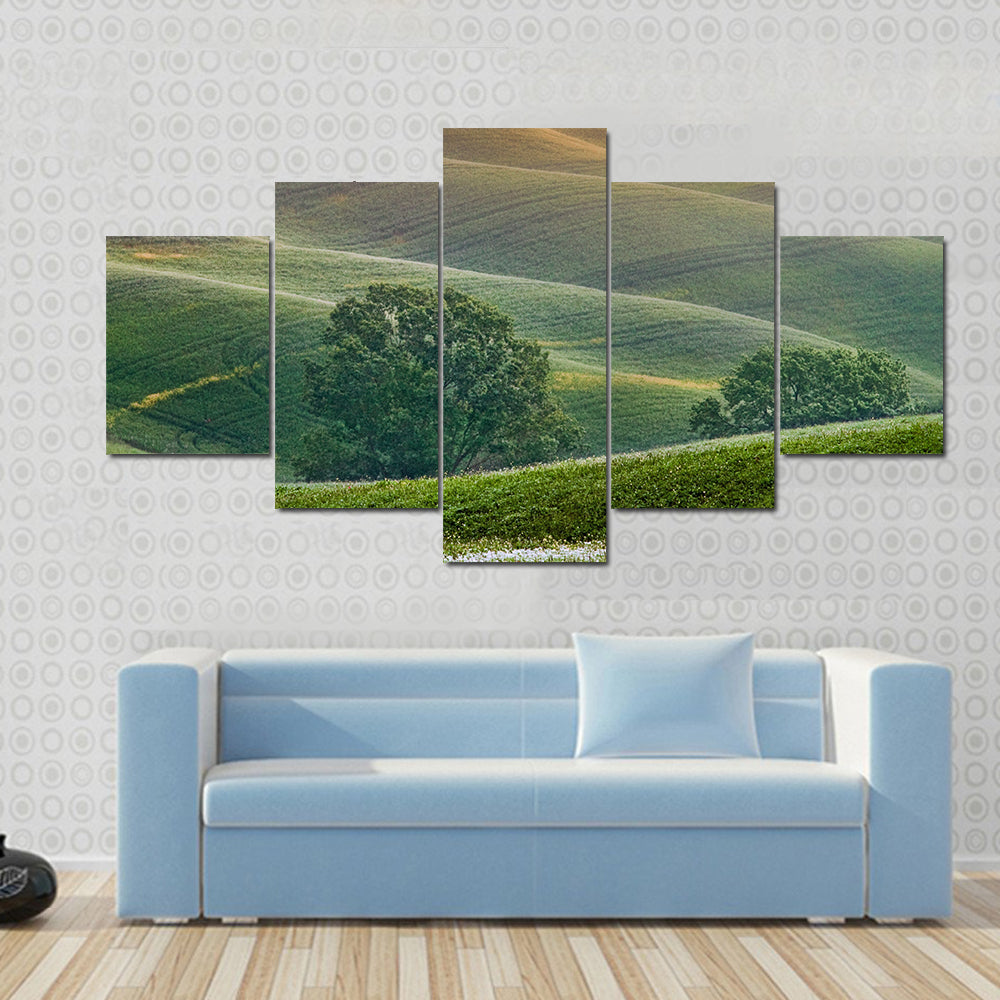 Tuscany Rolling Hills at Golden Hour Canvas Wall Art