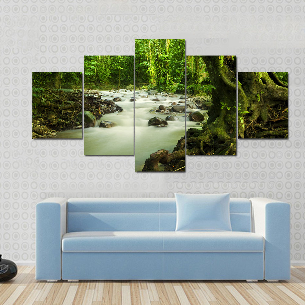 Tropical River At Selangor State In Malaysia Canvas Wall Art