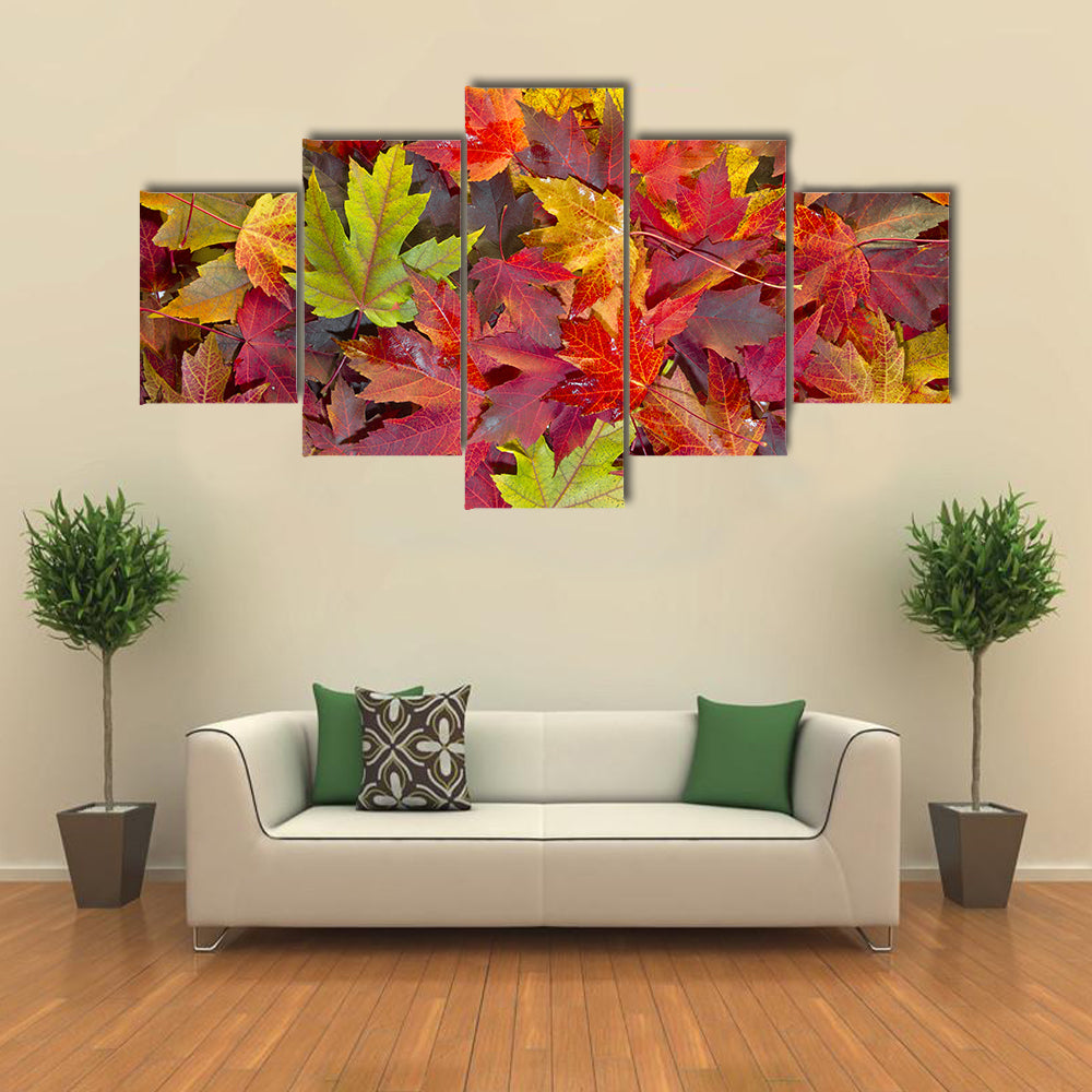 Colorful Maple Leaves Canvas Wall Art