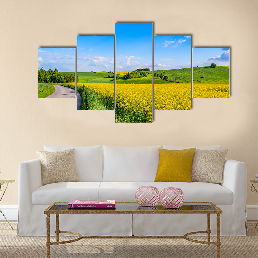 Oilseed field In Italian Countryside Canvas Wall Art