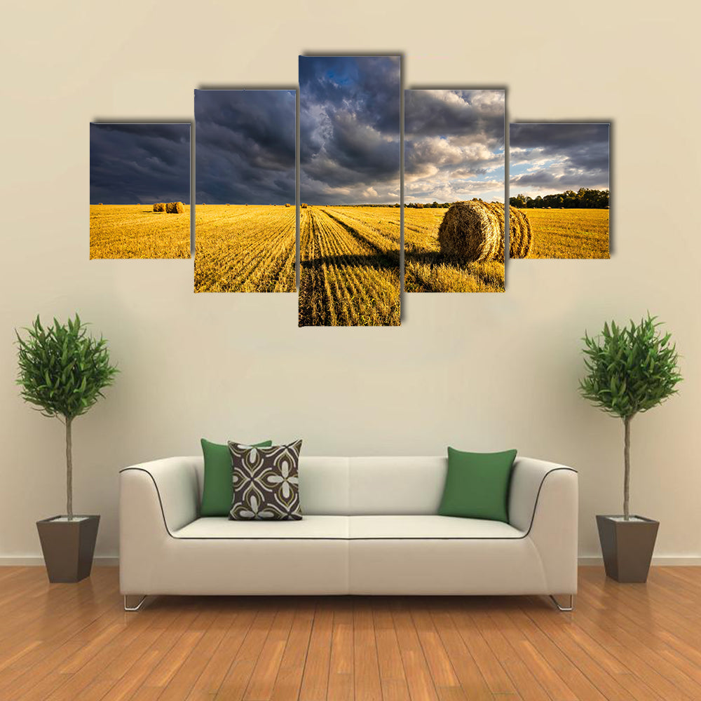 Golden Haystacks Field Canvas Wall Art