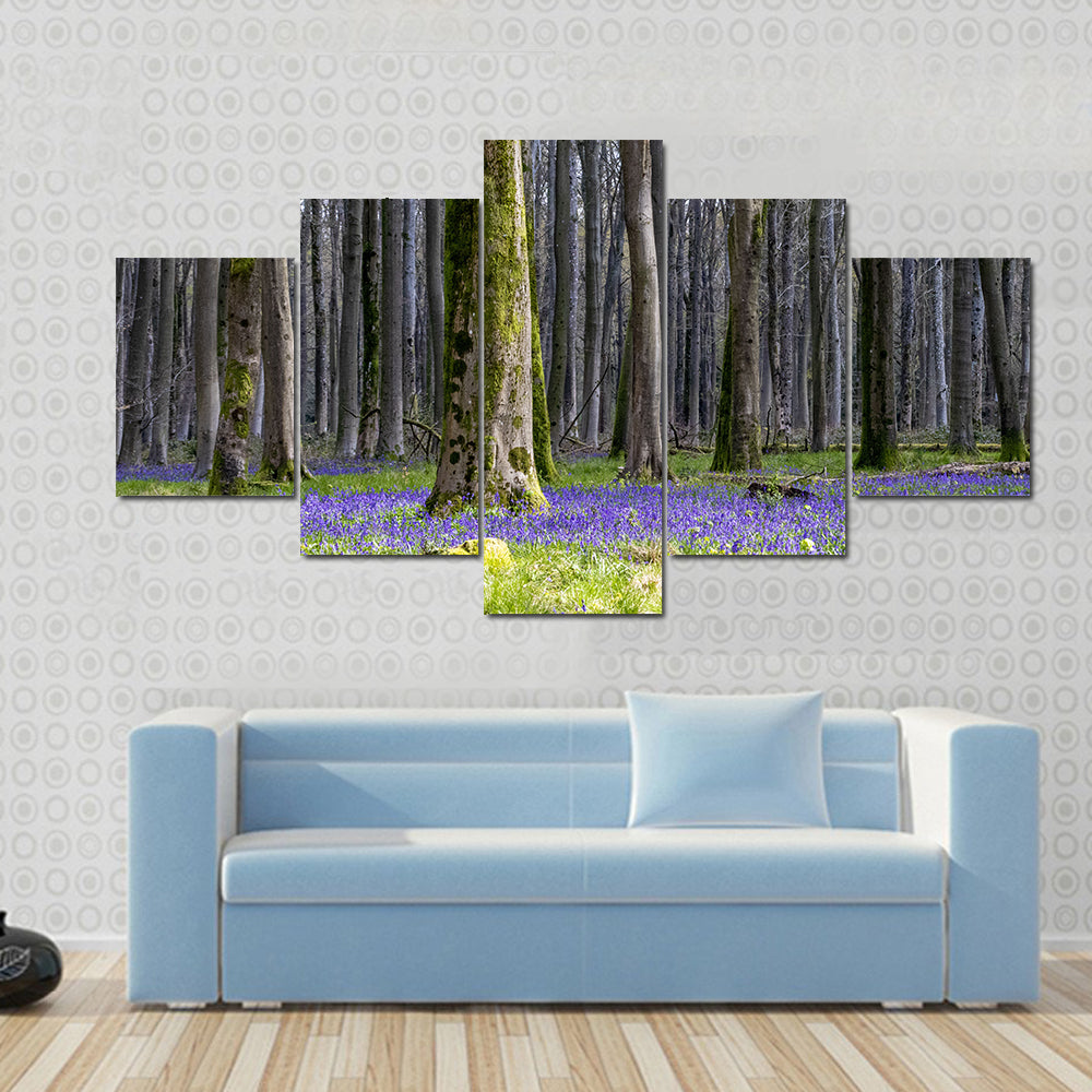 Springtime Bluebell Wood in England Canvas Wall Art