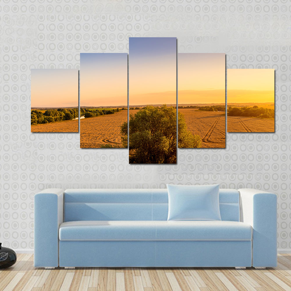 Sunset Over Golden Field with Curved Tracks Canvas Wall Art