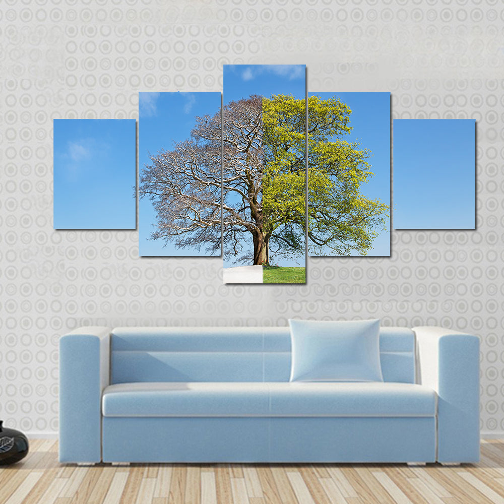 Tree Split Between Winter and Summer Canvas Wall Art