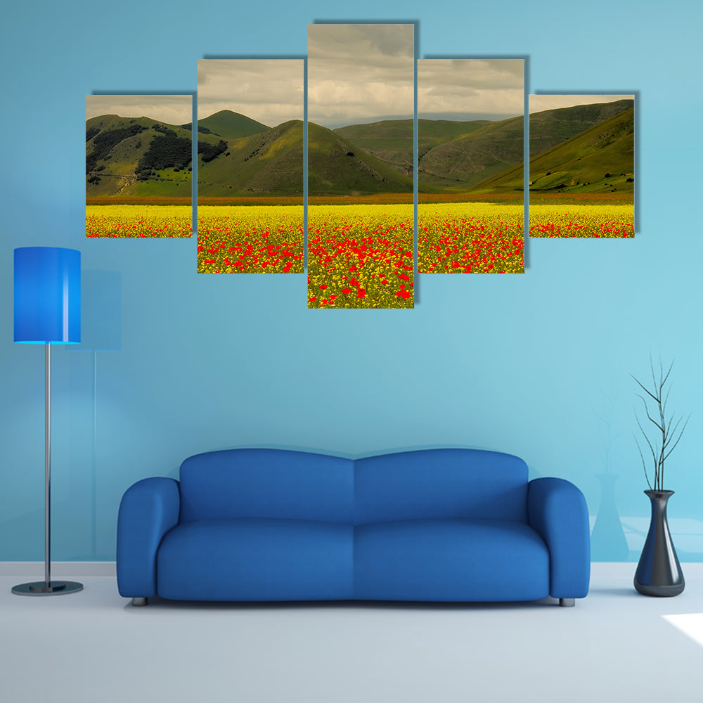 Castelluccio Di Norcia Meadow with Red Poppies Canvas Wall Art