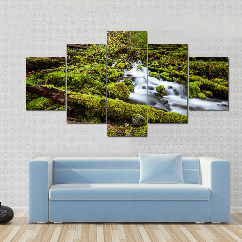 Sol Duc Falls Trail In Olympic National Park Canvas Wall Art