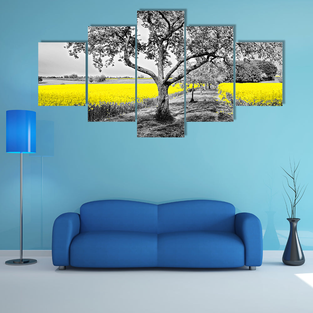 Yellow Canola Field with Large Tree and Path Canvas Wall Art