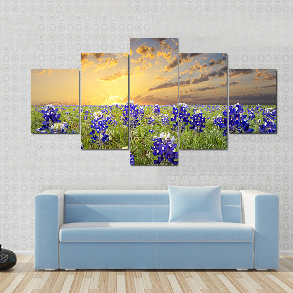 Bluebonnets In The Texas Hill County Canvas Wall Art