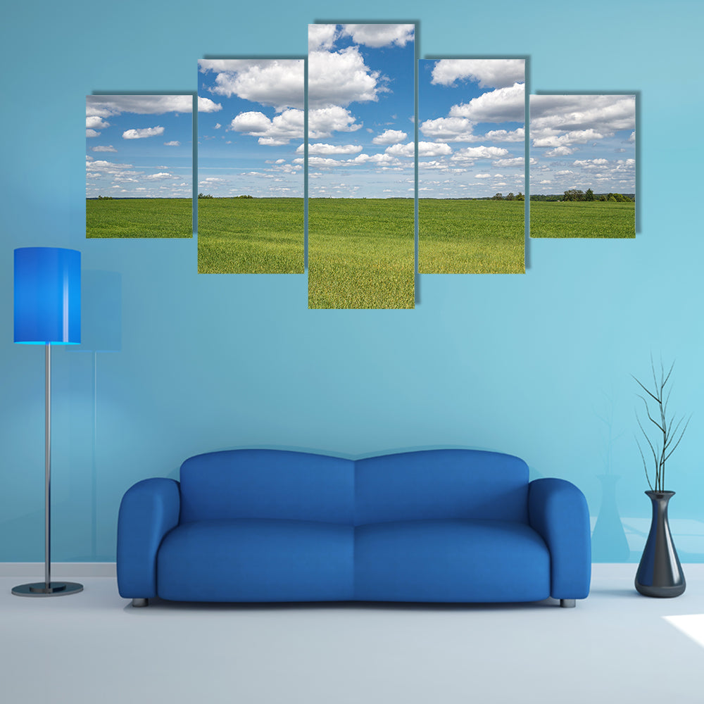 Blue Sky Over Green Field Canvas Wall Art