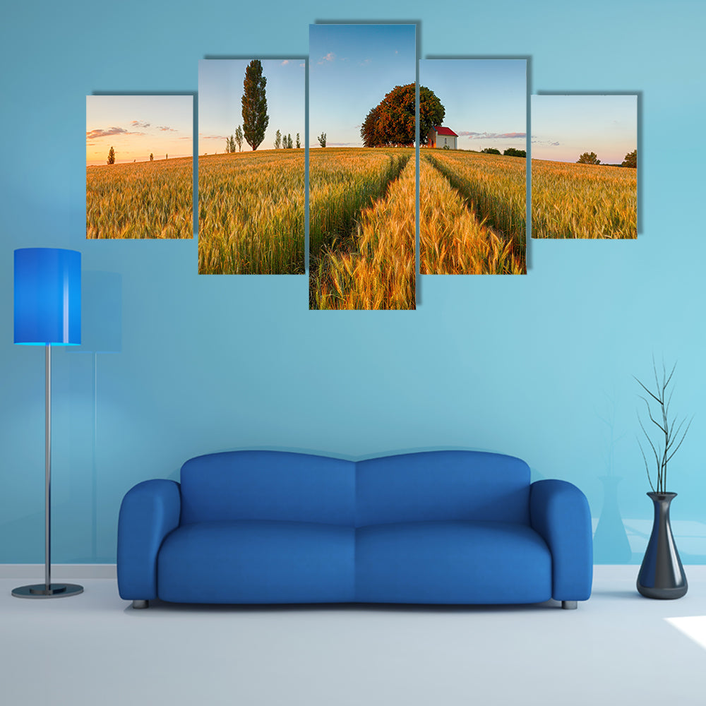 Summer Wheat Field at Golden Hour Canvas Wall Art