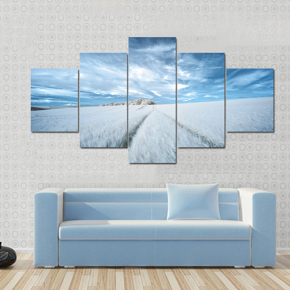 White Field with Parallel Tire Tracks Canvas Wall Art