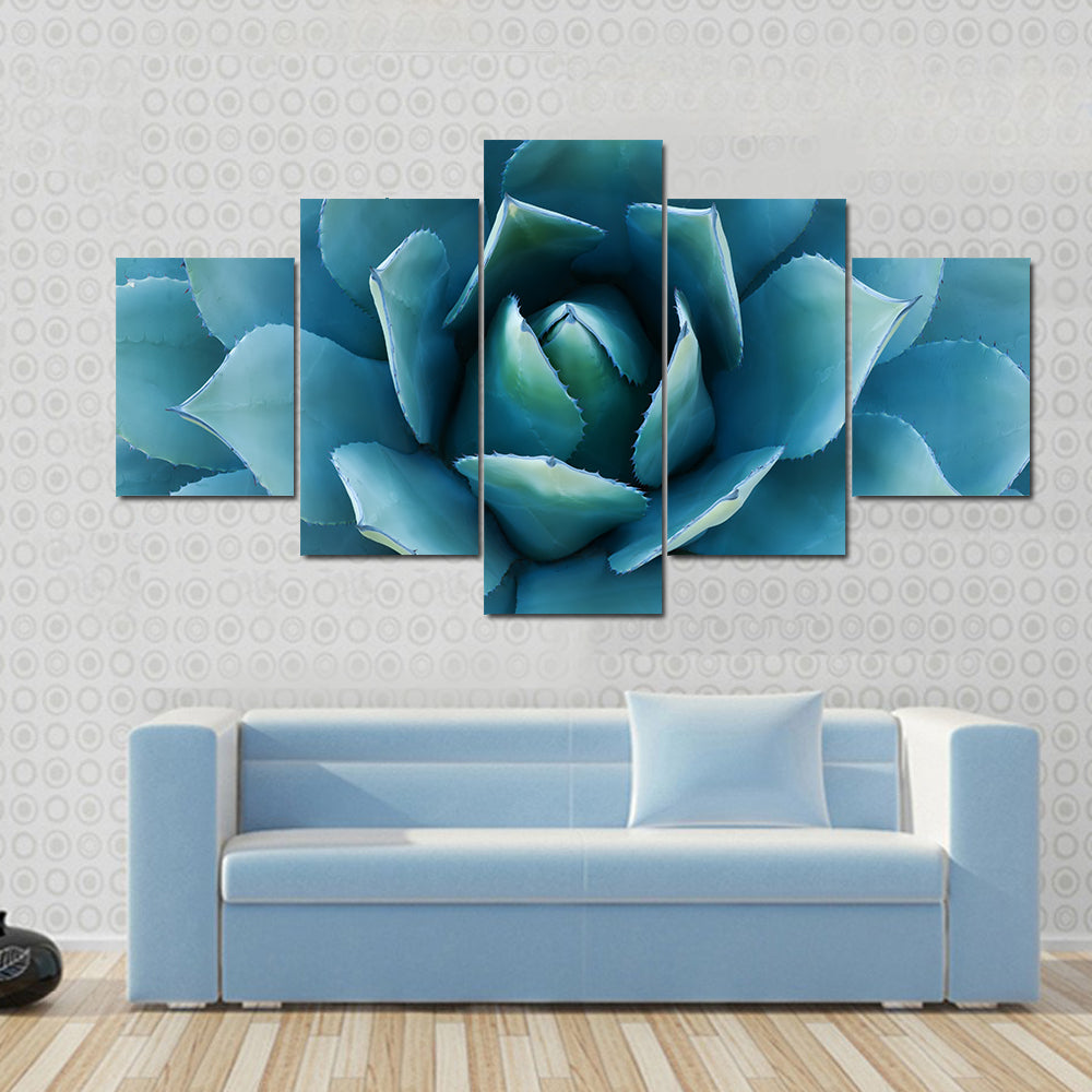 Closeup Of An Agave Plant Canvas Wall Art
