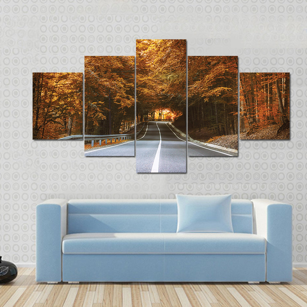 Forest Road in Autumn Canvas Wall Art