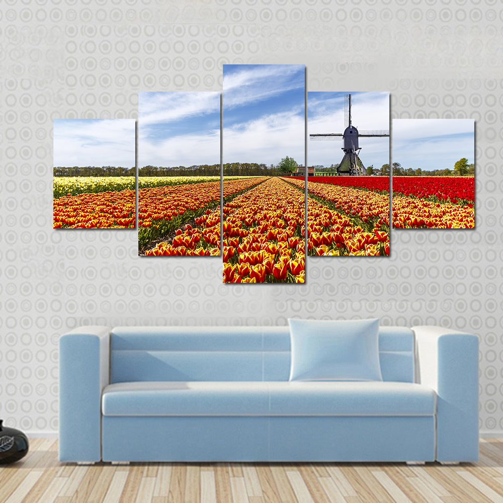 Colorful Tulip Field with Dutch Windmill Canvas Wall Art
