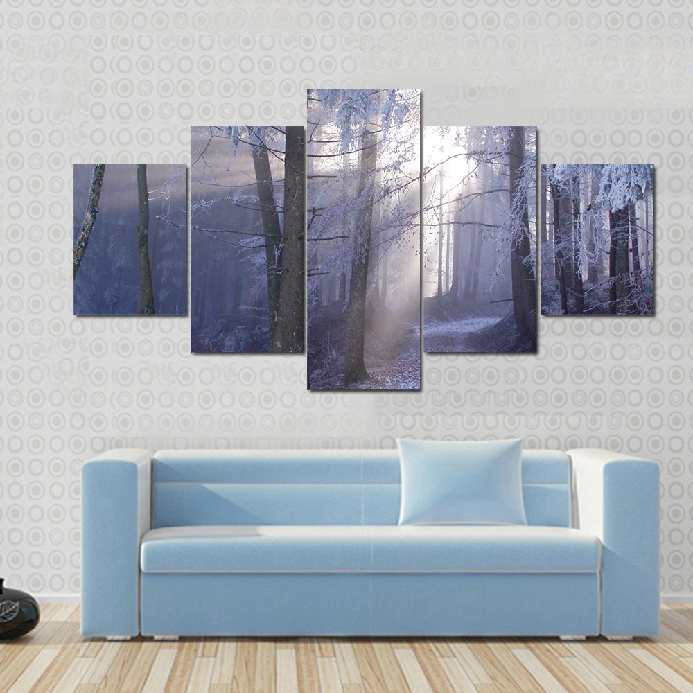 Mystic Forest Track Canvas Wall Art