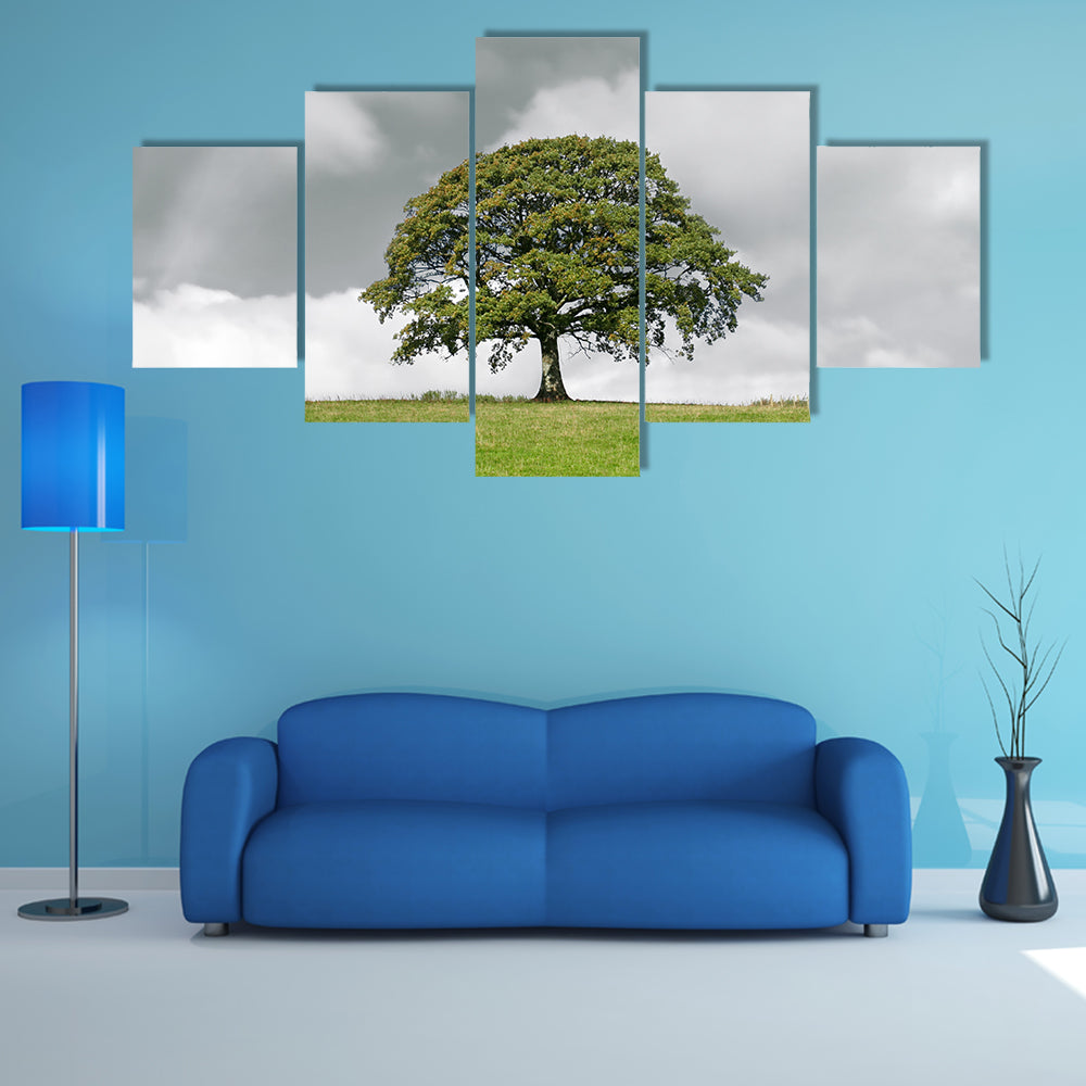 Summer Oak on Grassy Hill Canvas Wall Art