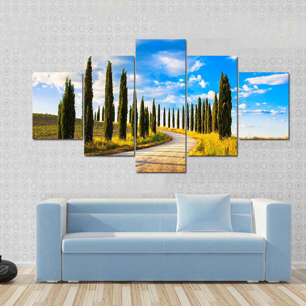 Tuscany Cypress Trees Along Winding Road Canvas Wall Art
