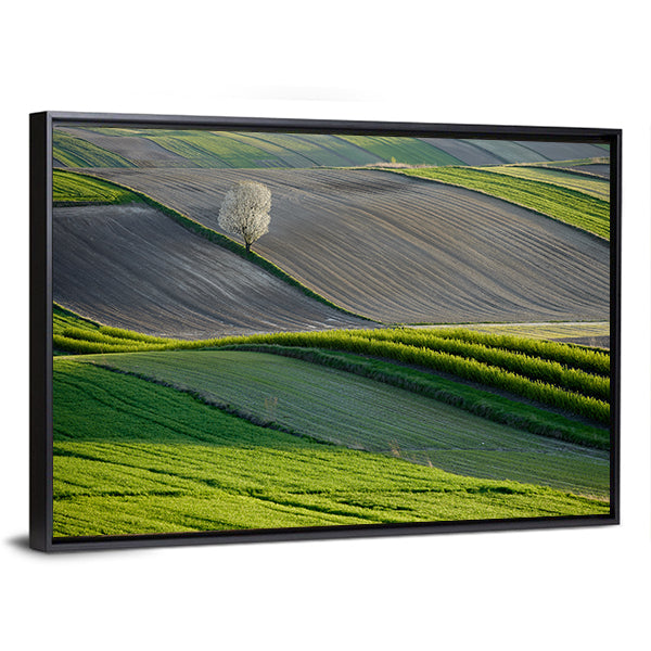 Wavy Fields In Poland Canvas Wall Art