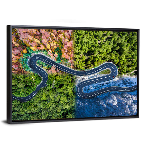 Highway Through The Forest Canvas Wall Art