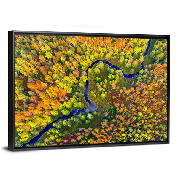 River In Autumn Forest Canvas Wall Art