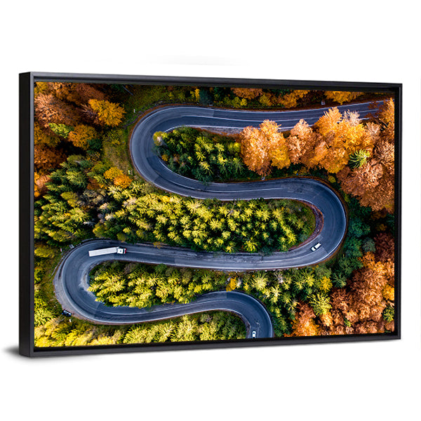 Winding Forest Road From Top Canvas Wall Art
