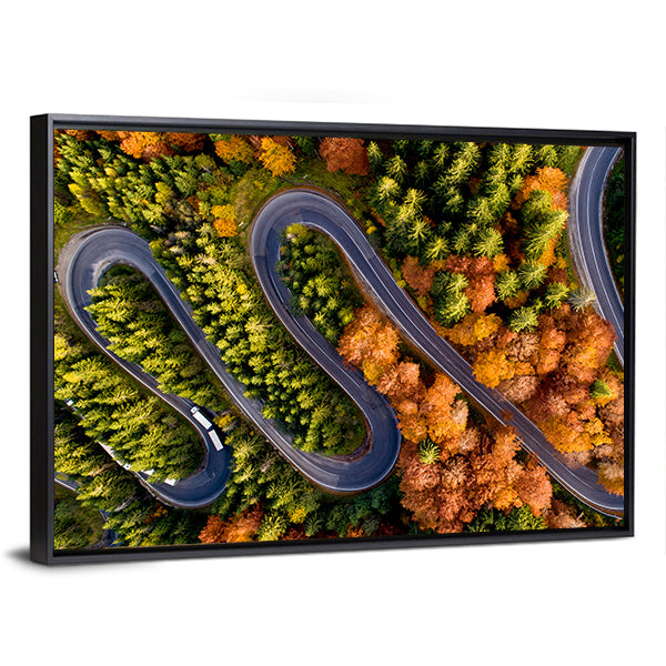 Serpentine Asphalt Road Canvas Wall Art