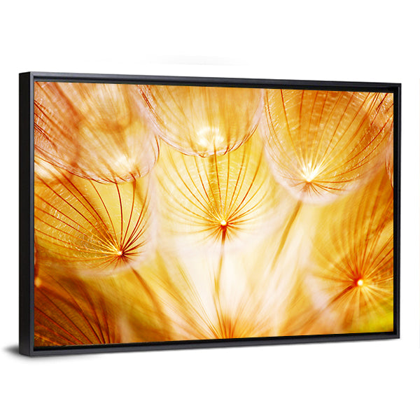 Soft Dandelion Flower Canvas Wall Art