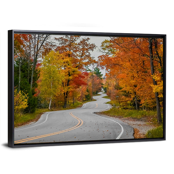 Winding Road In Wisconsin Canvas Wall Art