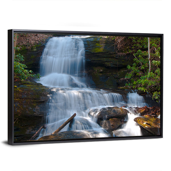 Desoto Falls, Georgia Canvas Wall Art