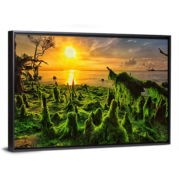 Moss-covered Mangrove Roots at Sunset Canvas Wall Art