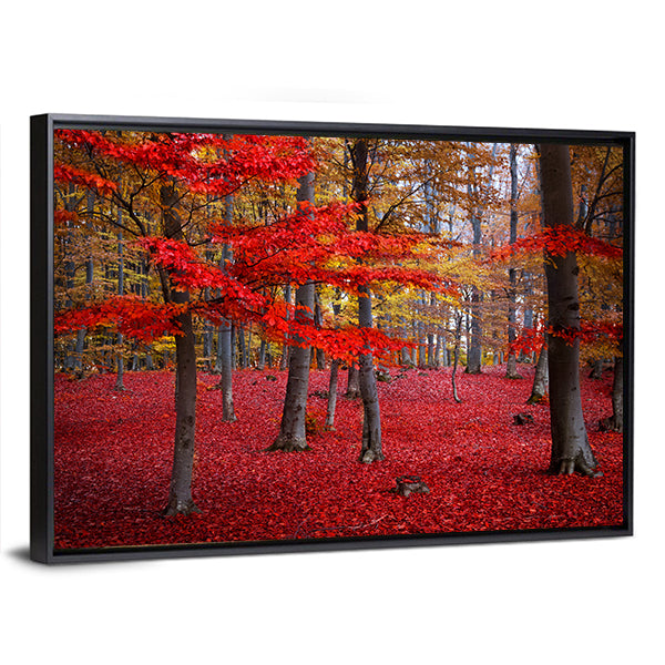 Red Trees In The Forest During Fall Canvas Wall Art