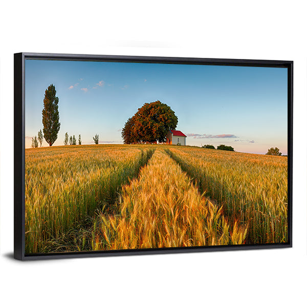 Summer Wheat Field at Golden Hour Canvas Wall Art