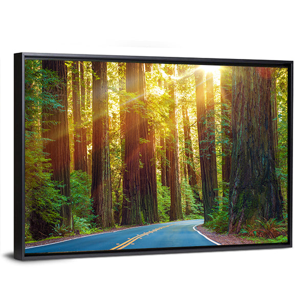 Redwood Highway In Northern California Canvas Wall Art