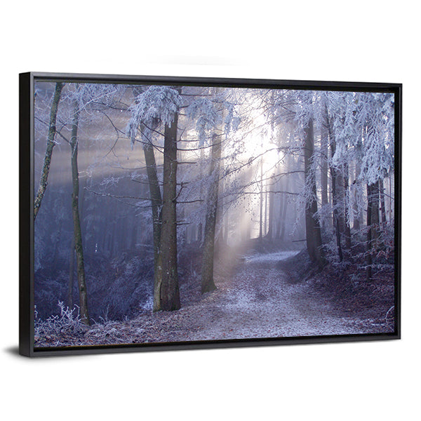 Mystic Forest Track Canvas Wall Art