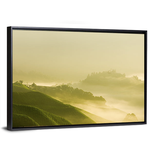 Tea Plantation At Cameron Highland Malaysia Canvas Wall Art
