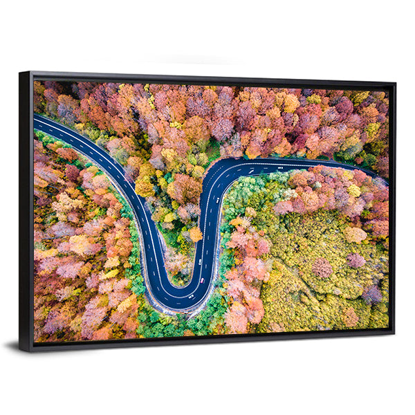 Curved Winding Road Through The Forest Canvas Wall Art
