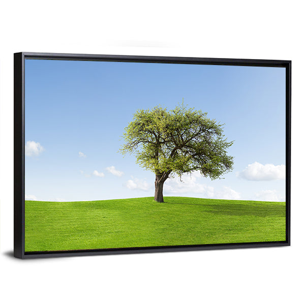 Solitary Tree on Sunny Green Hill Canvas Wall Art