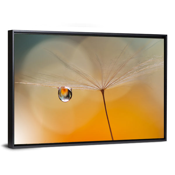 Dandelion Seed with Water Droplet Canvas Wall Art