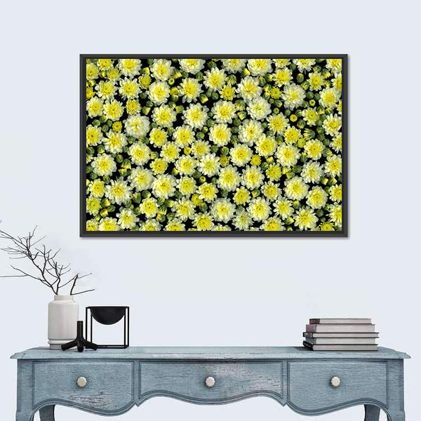 Yellow and White Chrysanthemums Canvas Wall Art