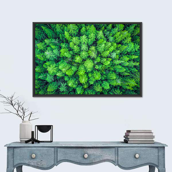 Aerial View Of Redwood Whakarewarewa Forest Canvas Wall Art