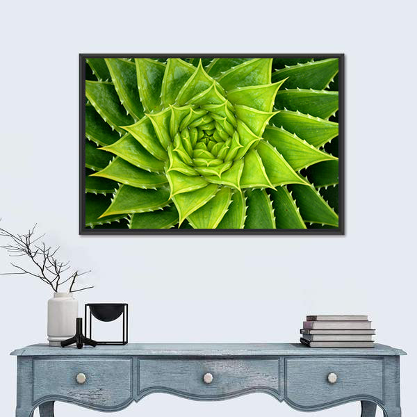 Vivid Green Spiral Aloe Plant Canvas Wall Art