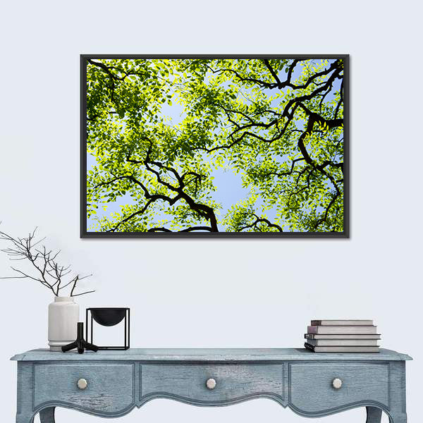 Tree Canopy with Bright Blue Sky Canvas Wall Art