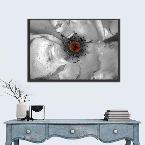 Selective Color Macro Flower Canvas Wall Art