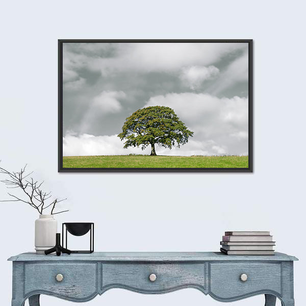 Summer Oak on Grassy Hill Canvas Wall Art