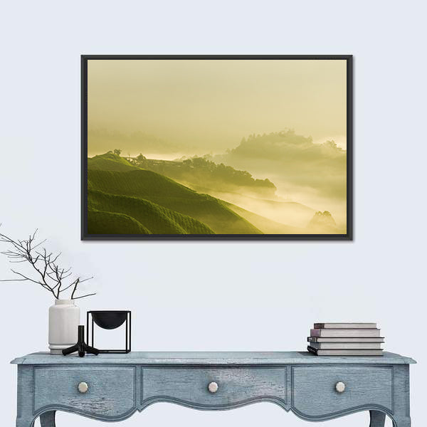 Tea Plantation At Cameron Highland Malaysia Canvas Wall Art