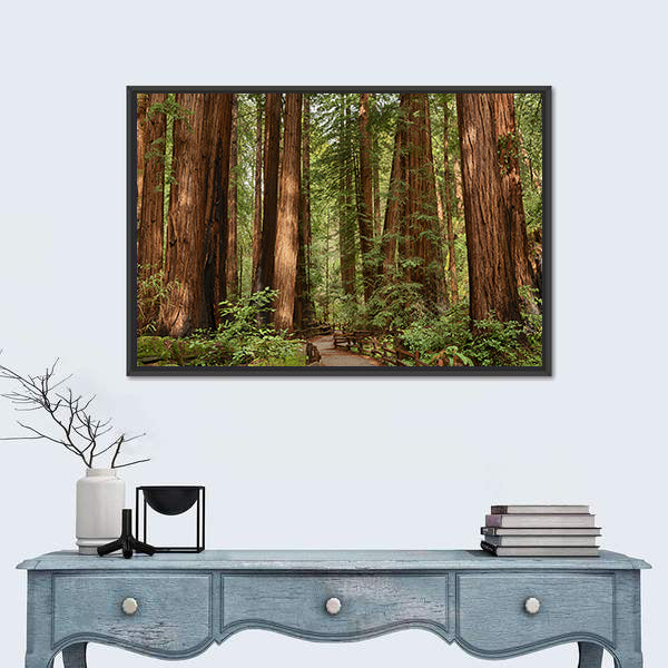 Muir Woods National Monument In California Canvas Wall Art