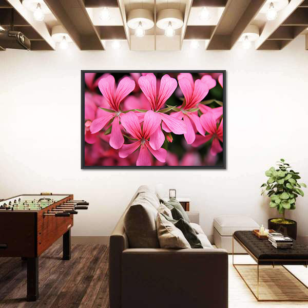 Pink Geranium Cascade Flowers Canvas Wall Art