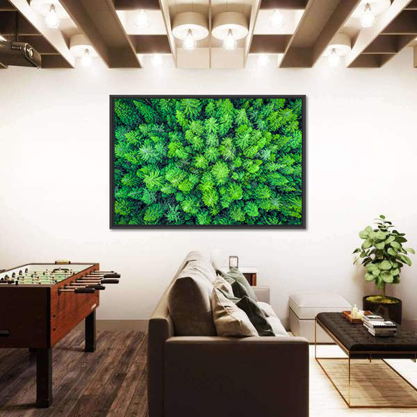 Aerial View Of Redwood Whakarewarewa Forest Canvas Wall Art